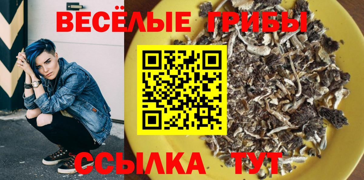 Сибай  хочу   Вход с VPN  Псилоцибиновые грибы мухоморы  Псилоцибиновые грибы мицелий 